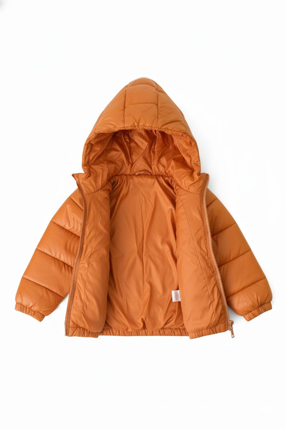 Baby Pony Boy's Hooded Puffer Jacket