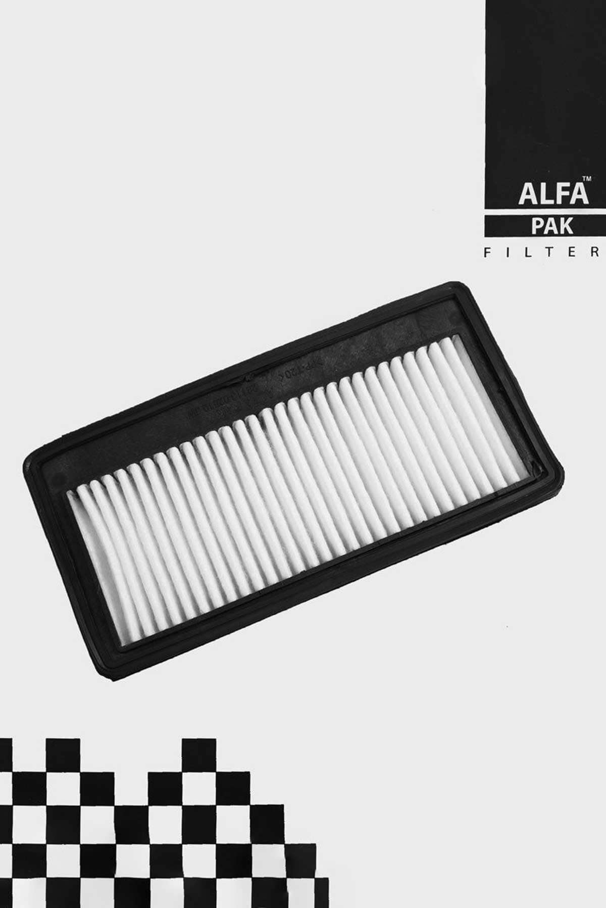 Alfa Pak Air Filter Hyundai Santro