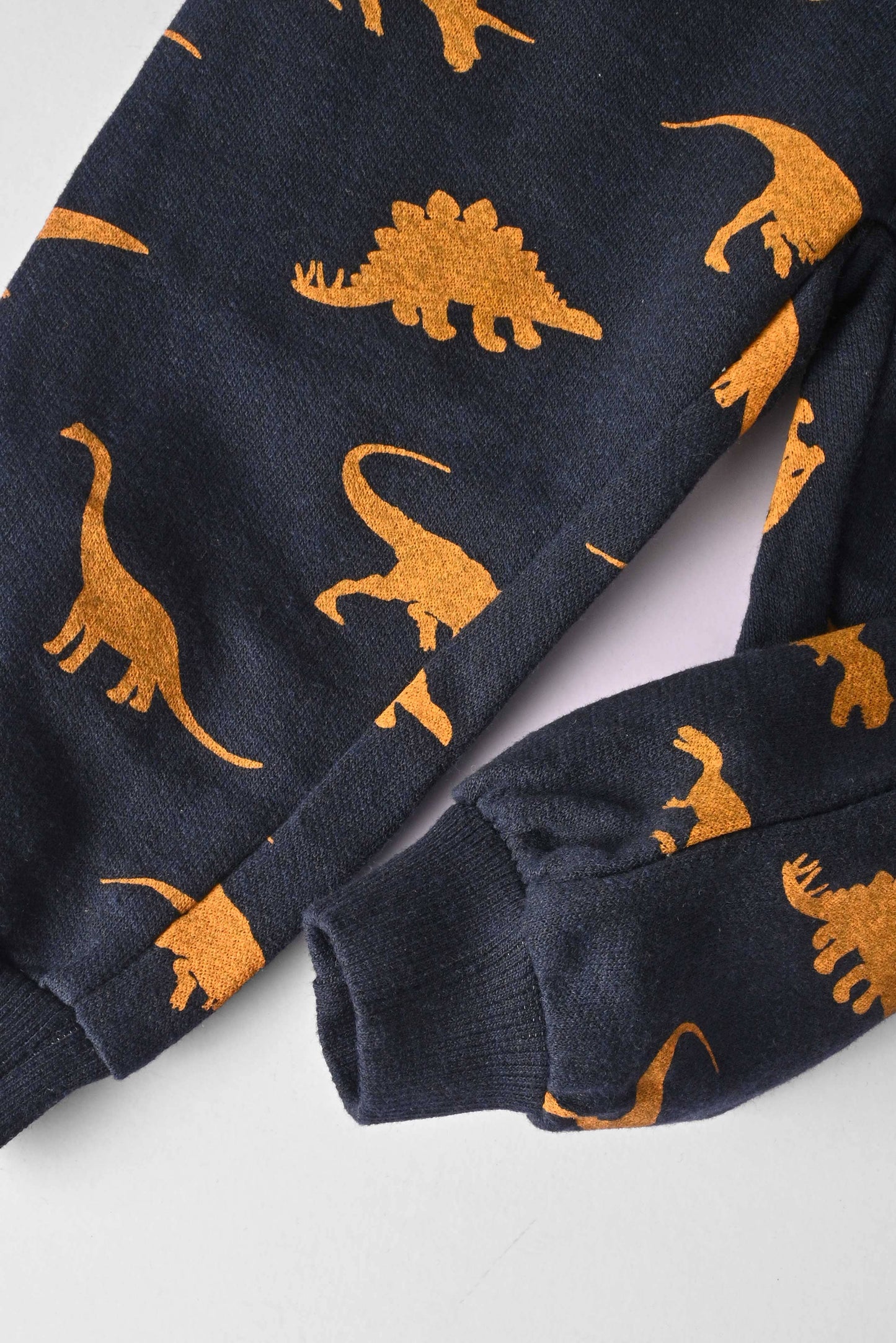 Huntington Kid's Dinosaur Printed Terry Jogger Pants
