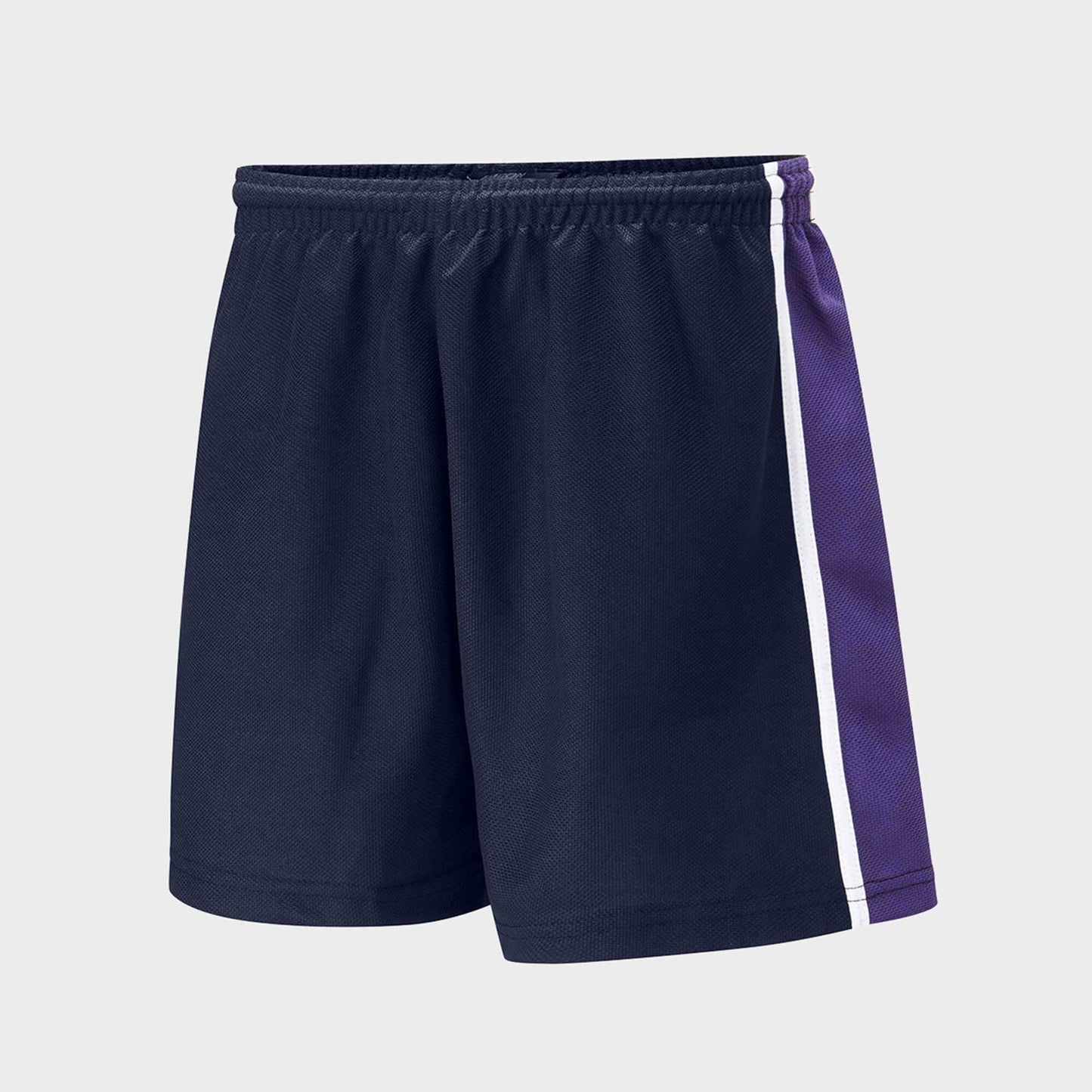 Falcon Men's Activewear Side Panel Shorts Men's Shorts HAS Apparel Navy & Purple XS 