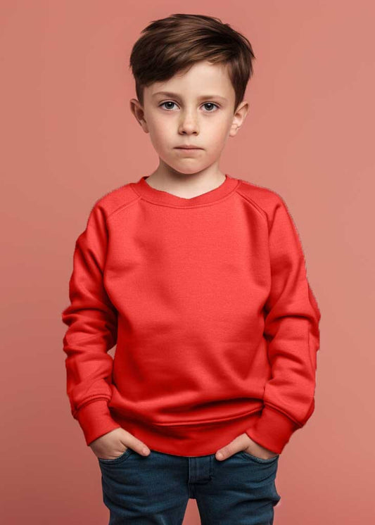 Kid's Raglan Sleeves Fleece Sweat Shirt Boy's Sweat Shirt Minhas Garments 