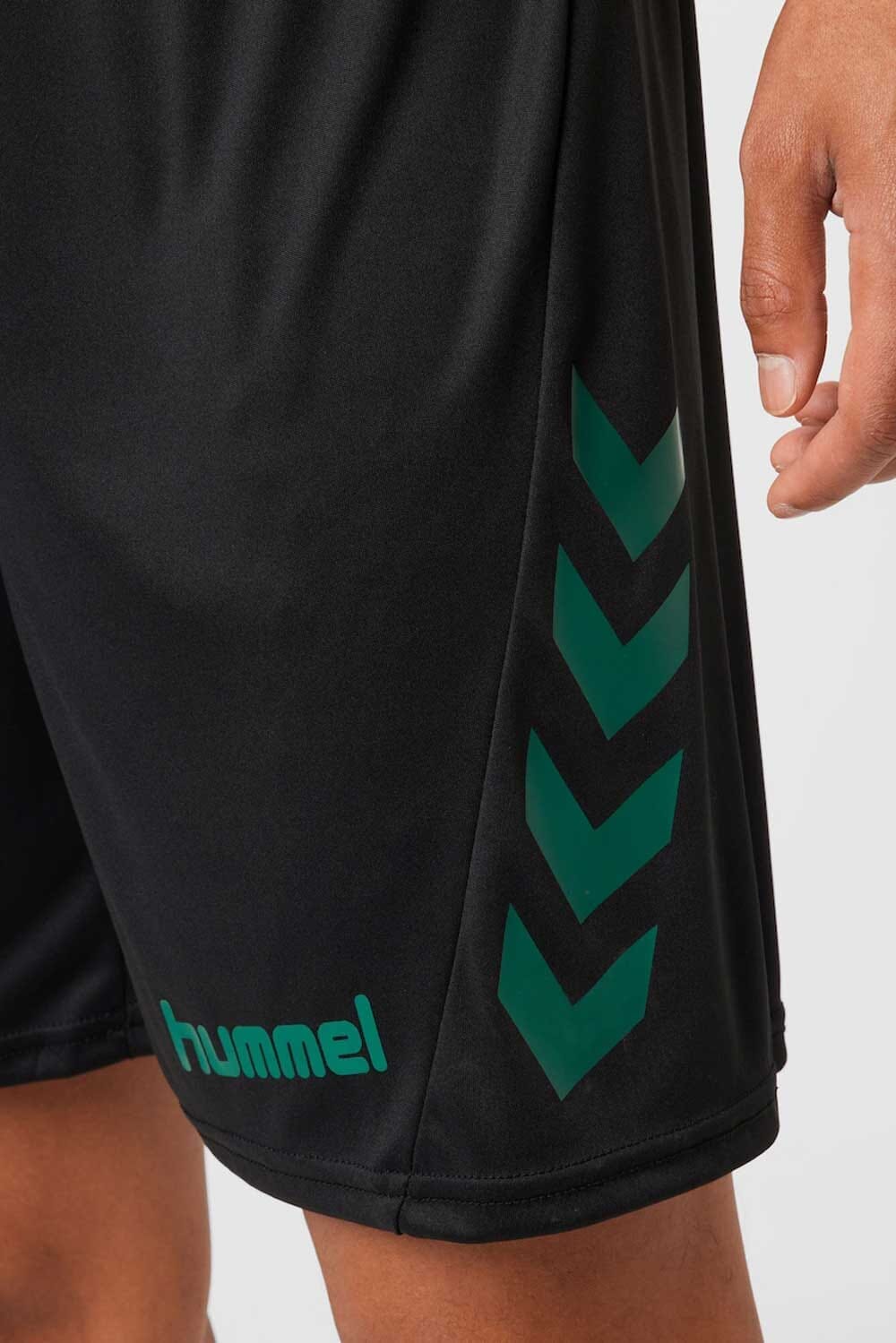 Black & Bottle Green