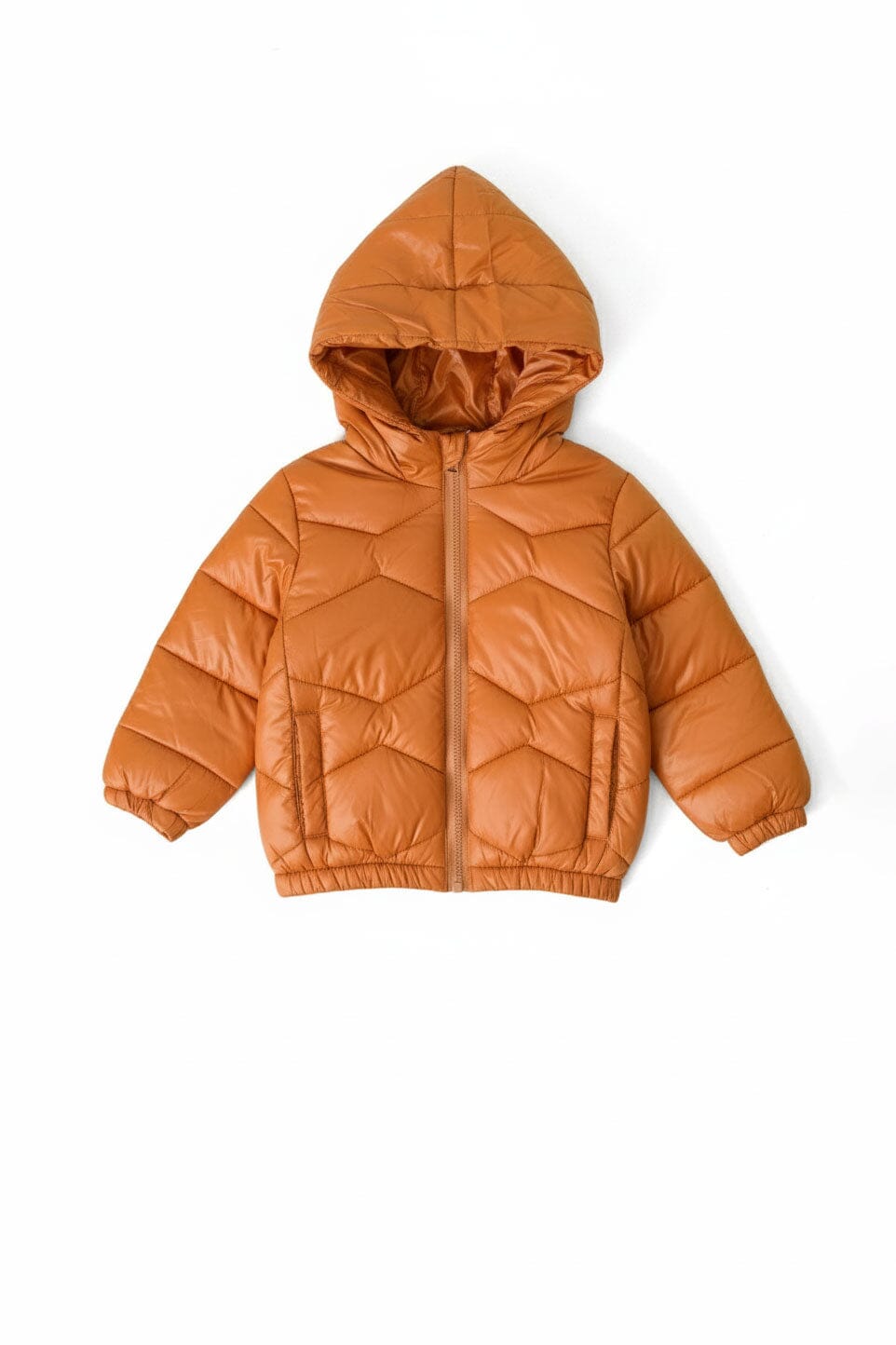 Baby Pony Boy's Hooded Puffer Jacket