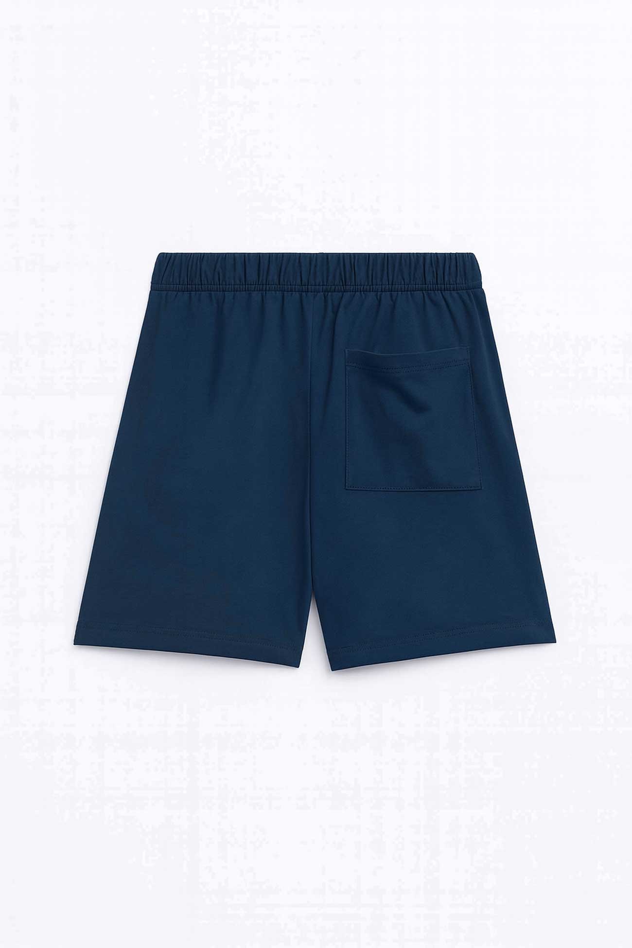 Aris Men's Basic Shorts