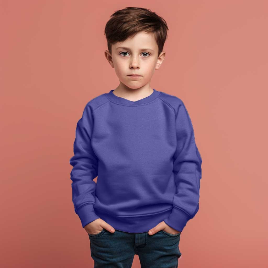 Kid's Raglan Sleeves Fleece Sweat Shirt Boy's Sweat Shirt Minhas Garments Royal 4-5 Years(S) 