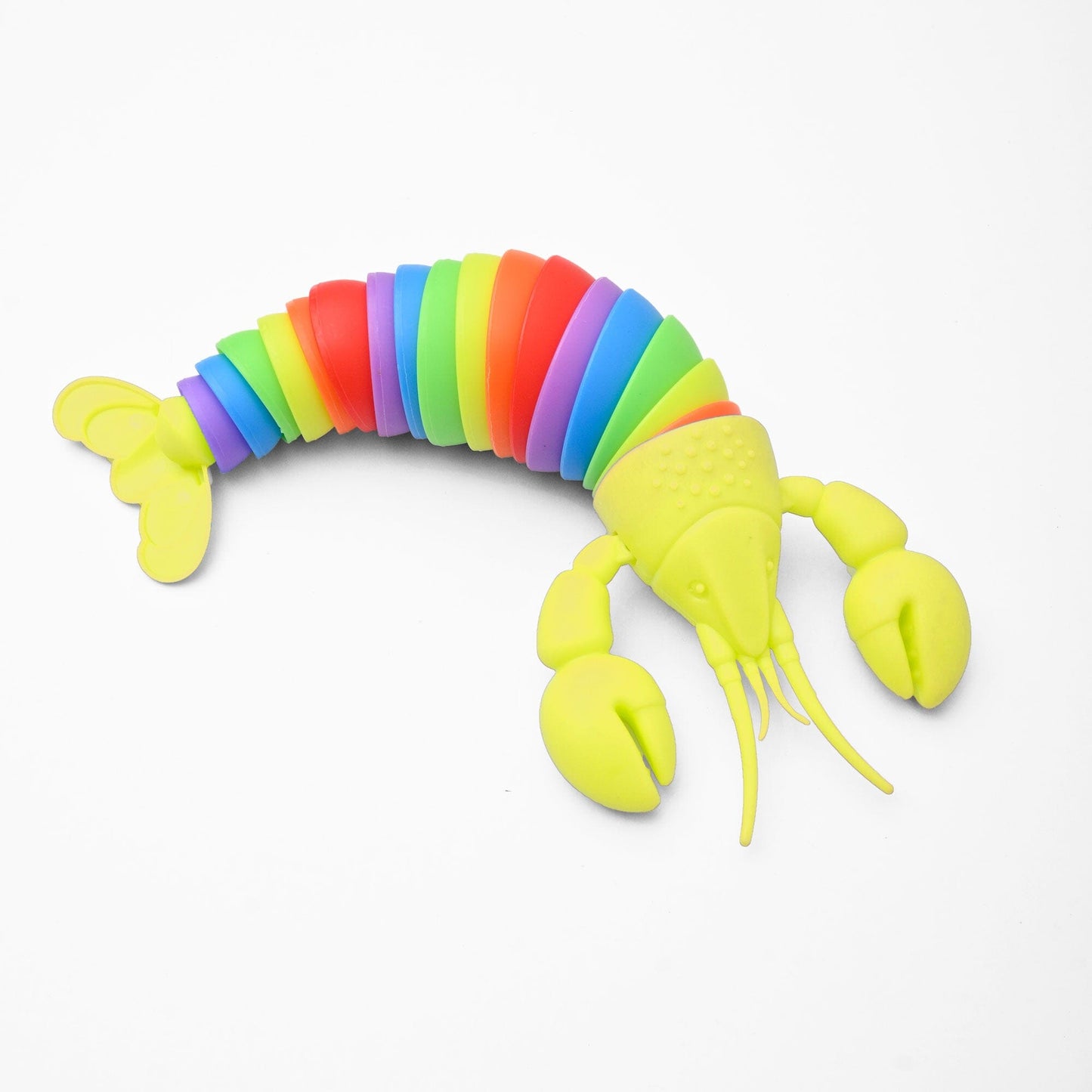 Kids Lobster Stress Relief Slug Fidget Toy Toy SRL Parrot 