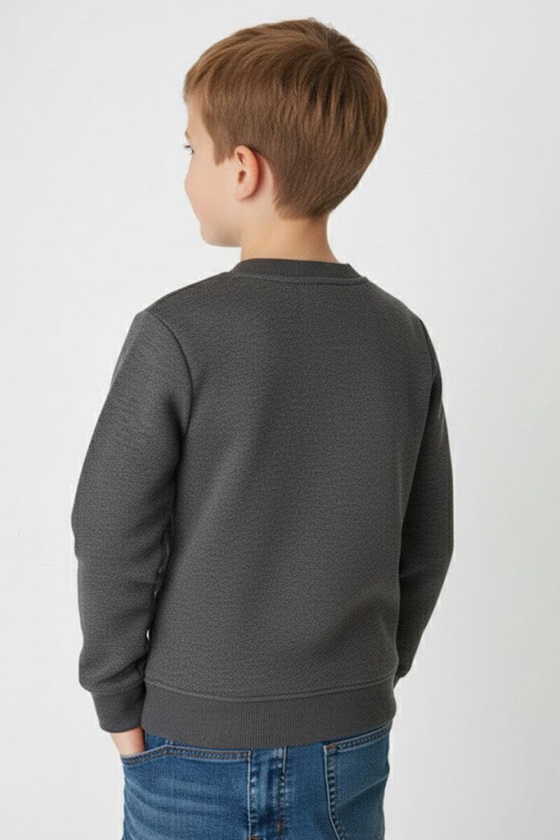 ZRA Boy's Sonic Fleece Sweatshirt