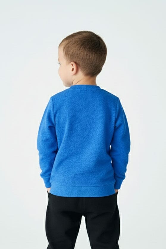 Boy's Hide & Squeak Fleece Sweatshirt