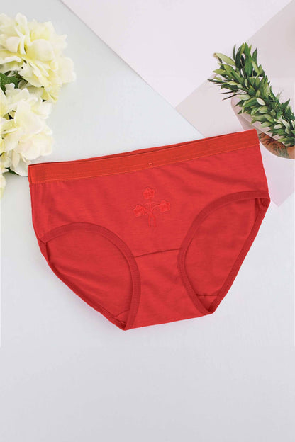 LZD Girl's/Women's Underwear Panties Women's Lingerie SRL 