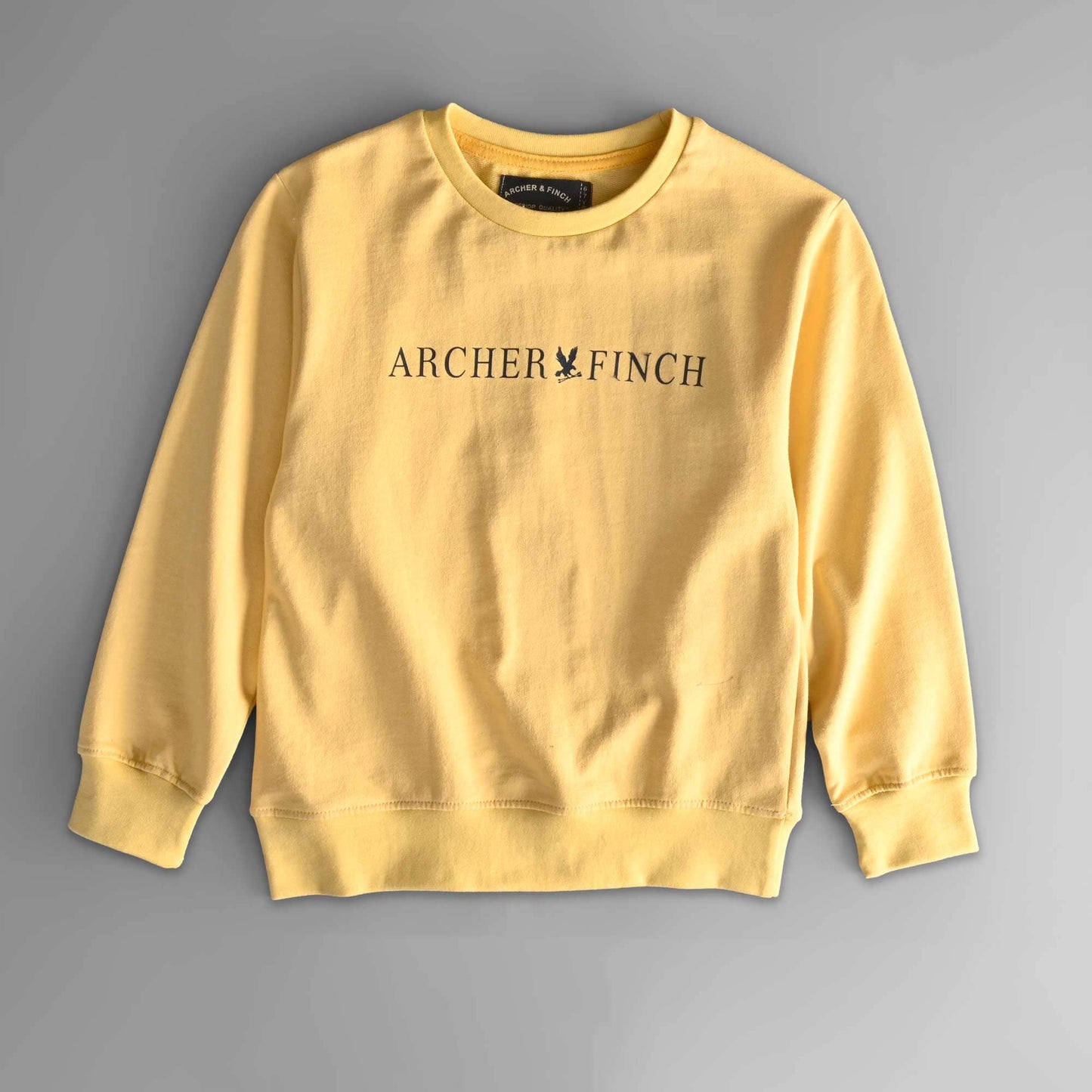 Archer & Finch Boy's Printed Terry Sweat Shirt Boy's Sweat Shirt LFS Light Yellow 3-4 Years 