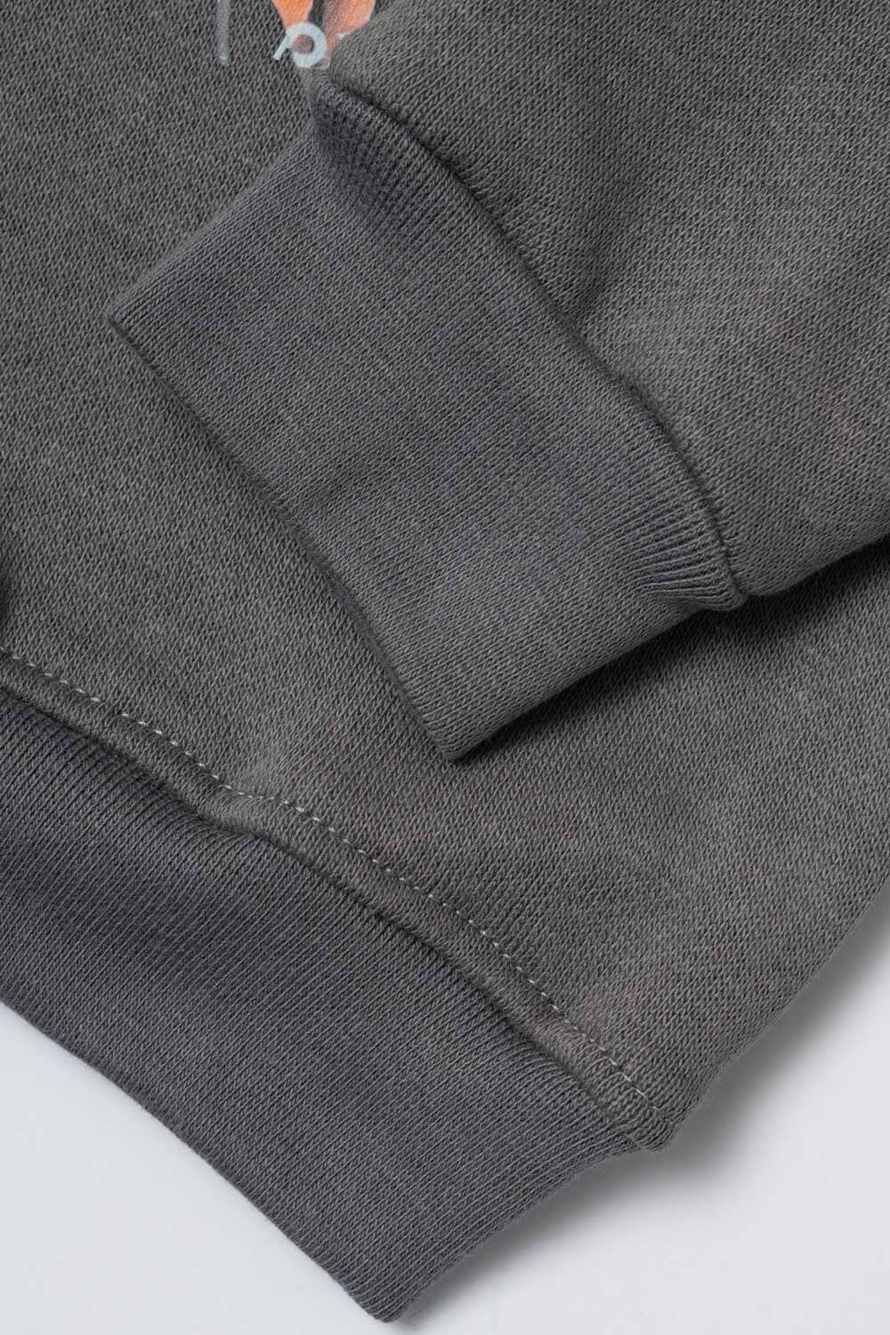 Baby Club Kid's Lion Printed Sweat Shirt