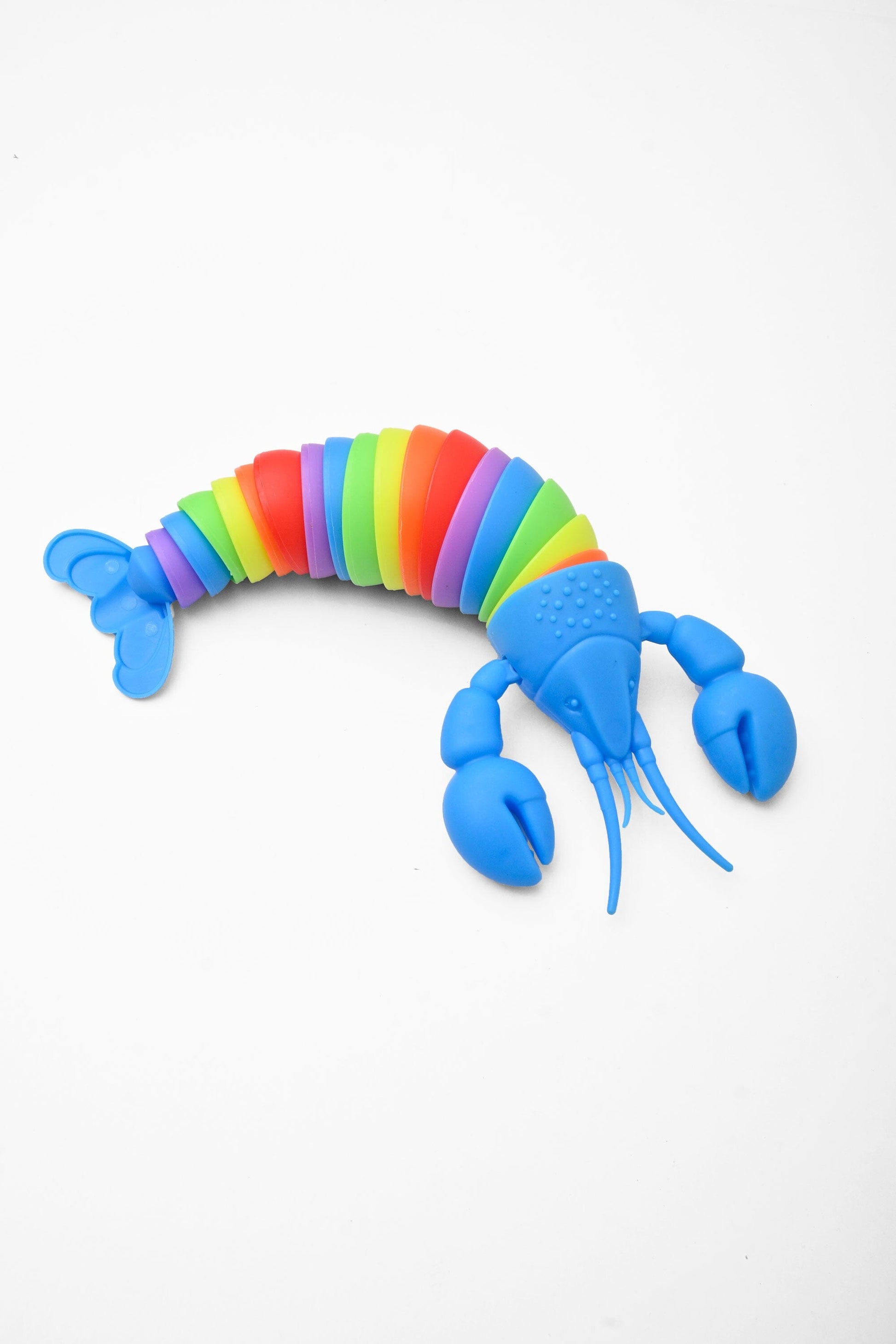 Kids Lobster Stress Relief Slug Fidget Toy Toy SRL 