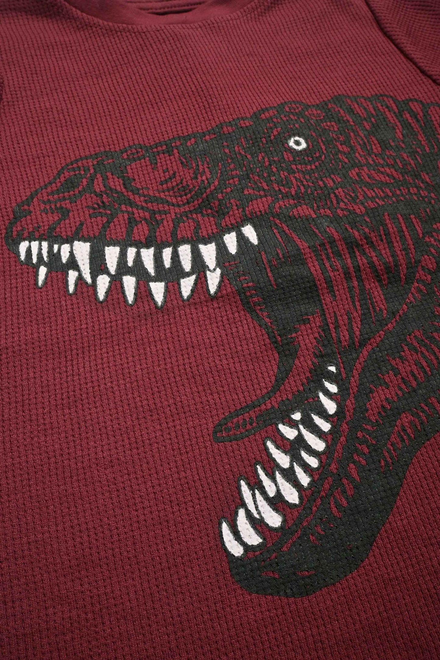 CD Kid's Dinosaur Printed Long Sleeve Thermal Sweat Shirt