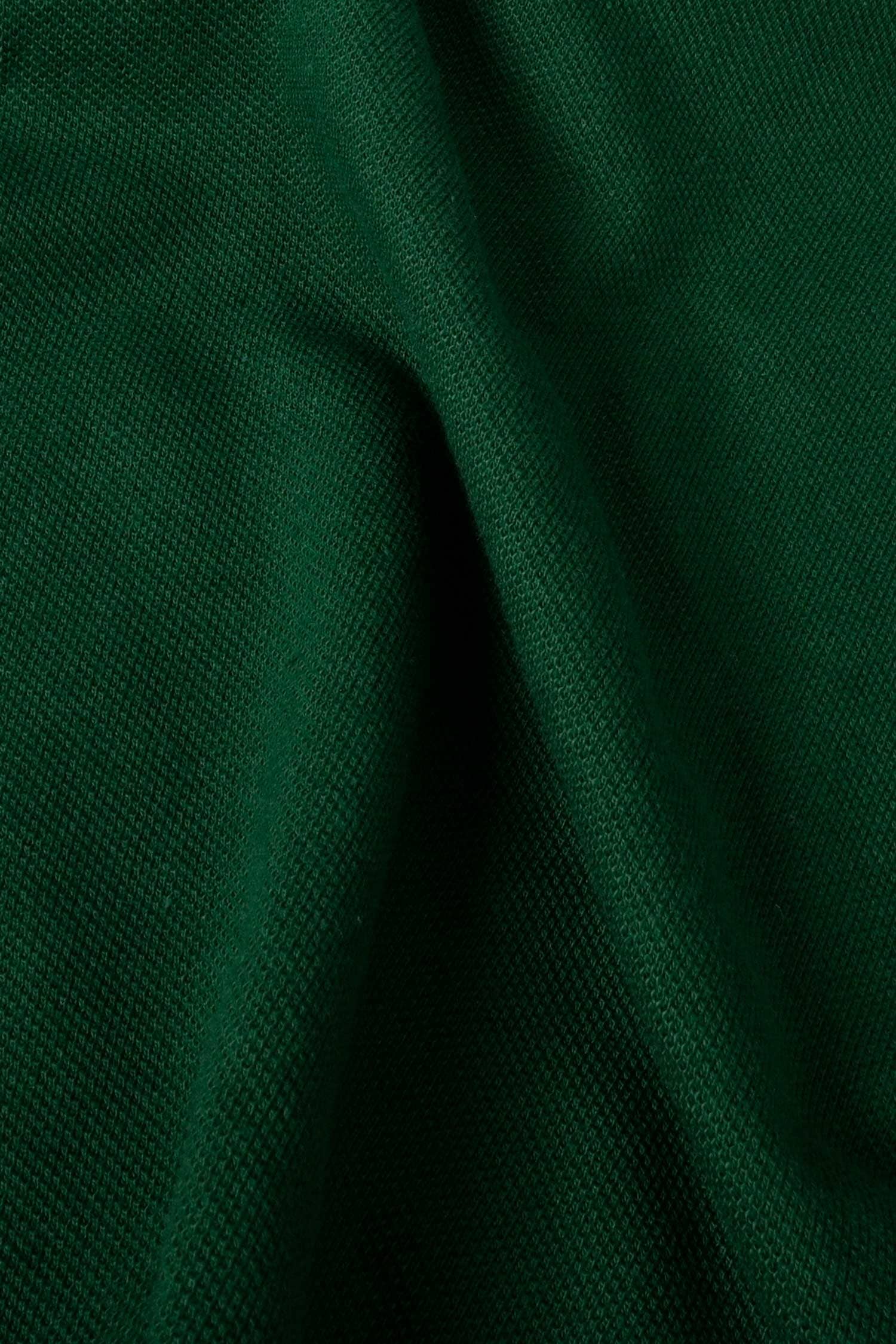 Polo Republica Men's Regal Lion Embroidered Short Sleeve Polo Shirt green