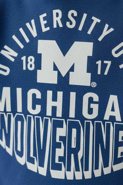 Gen 2 Boy's Wolverines Pullover Hoodie