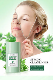 Sadoer Mugwort Anti Pores Acne Clay Stick - 40g