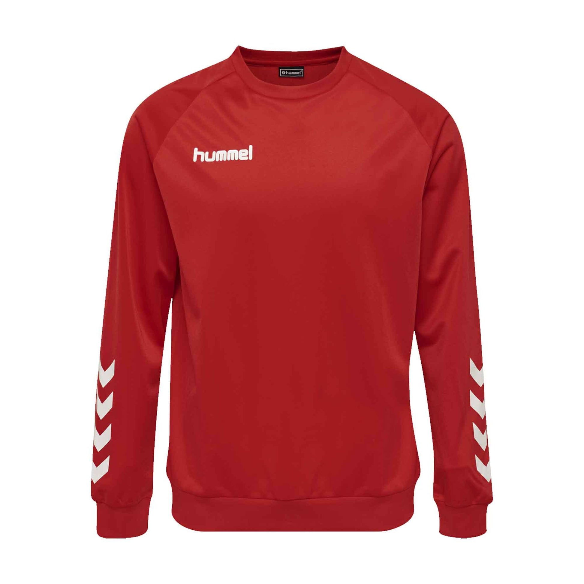 Hummel Boy's Activewear Raglan Sleeve Tee Shirt Boy's Tee Shirt HAS Apparel Red 4 Years 