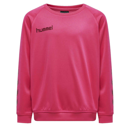 Hummel Boy's Activewear Raglan Sleeve Tee Shirt Boy's Tee Shirt HAS Apparel Hot Pink 4 Years 