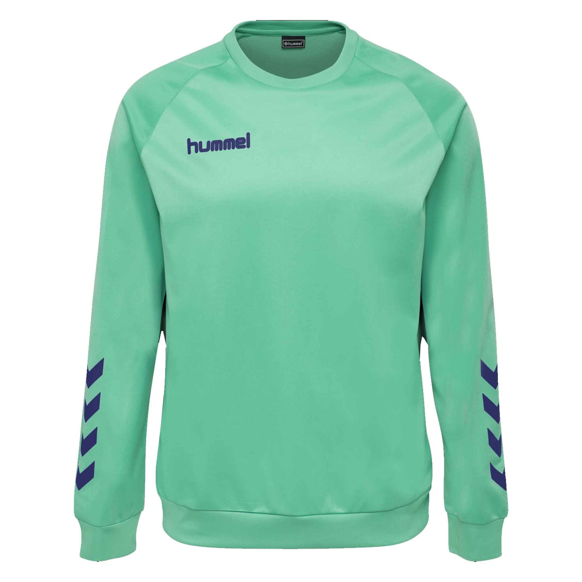 Hummel Boy's Activewear Raglan Sleeve Tee Shirt Boy's Tee Shirt HAS Apparel Turquoise 4 Years 