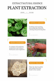 Bioaqua Rice Raw Pulp Sleep Mask