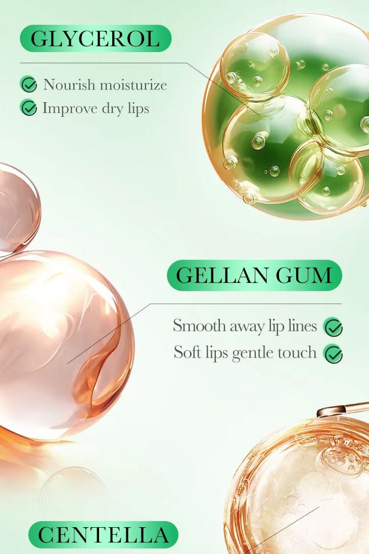 Fayankou Aloe Vera Moisturizing Lip Mask - 8g