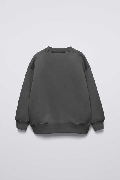 Baby Club Kid's Lion Printed Sweat Shirt