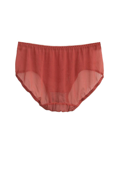 Women's Leak Protection Net Panty