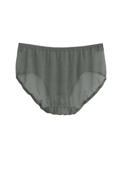 Women's Leak Protection Net Panty