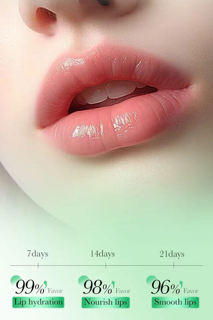 Fayankou Aloe Vera Moisturizing Lip Mask - 8g