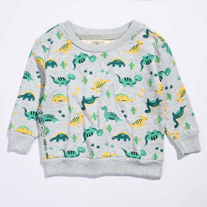 Trestles Kid's Dinosaur Printed Long Sleeve Fleece Sweatshirt Boy's Sweat Shirt Minhas Garments Heather Grey 2 Years 