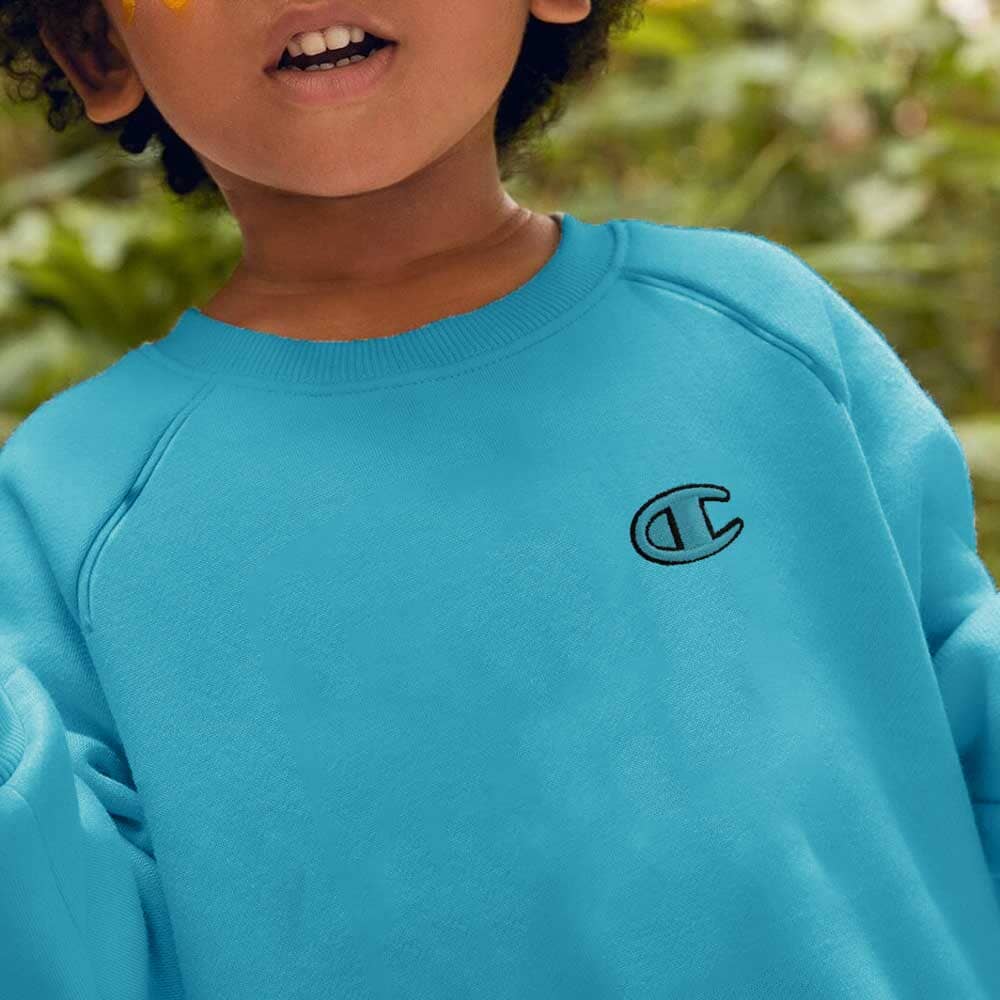 Champion Boy's Logo Printed Raglan Sleeve Fleece Sweatshirt Boy's Sweat Shirt Fiza 