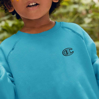 Champion Boy's Logo Printed Raglan Sleeve Fleece Sweatshirt Boy's Sweat Shirt Fiza 