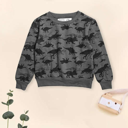 Trestles Kid's Dinosaur Printed Long Sleeve Fleece Sweatshirt Boy's Sweat Shirt Minhas Garments Graphite 2 Years 