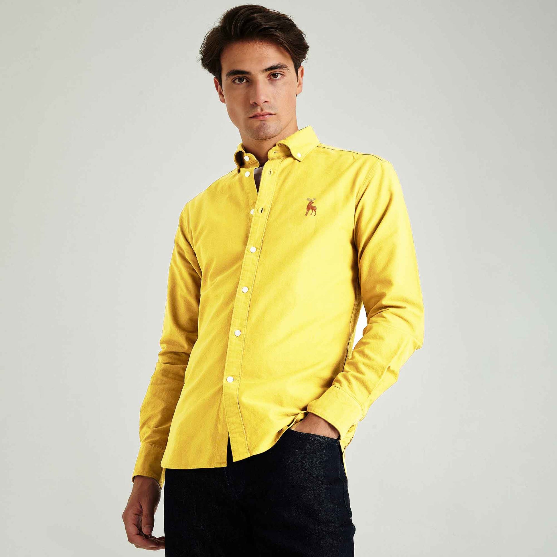 Polo Republica Men's Moose Embroidered Premium Casual Shirt Men's Casual Shirt Polo Republica Lime Yellow S 